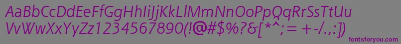 Шрифт ShannonAttItalic – фиолетовые шрифты на сером фоне