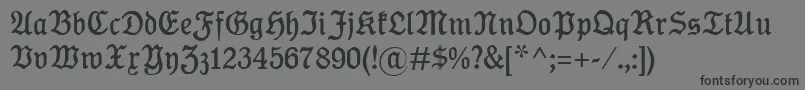 Шрифт KoenigTypeMager – чёрные шрифты на сером фоне