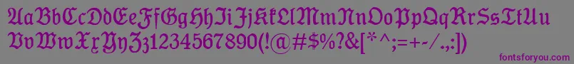 KoenigTypeMager-fontti – violetit fontit harmaalla taustalla