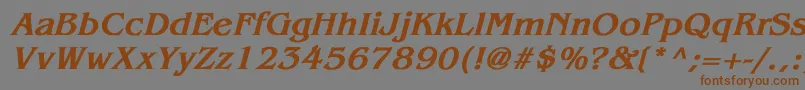 Czcionka BenguiatBoldItalic – brązowe czcionki na szarym tle
