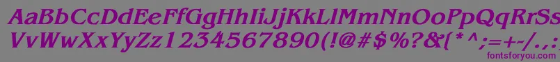 BenguiatBoldItalic-Schriftart – Violette Schriften auf grauem Hintergrund