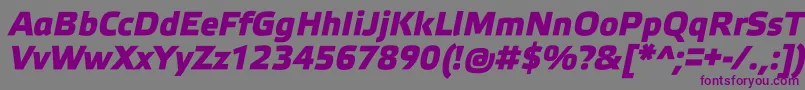 ElektraMediumProBoldItalic Font – Purple Fonts on Gray Background