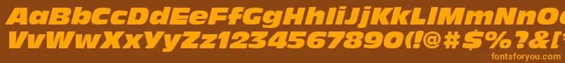 AntiqueOliveLtNordItalic Font – Orange Fonts on Brown Background
