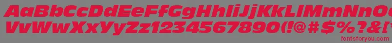 AntiqueOliveLtNordItalic Font – Red Fonts on Gray Background