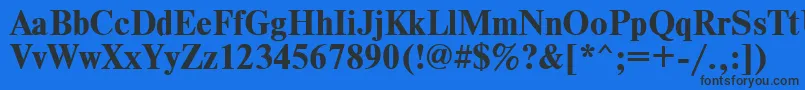 TimesdlBold Font – Black Fonts on Blue Background
