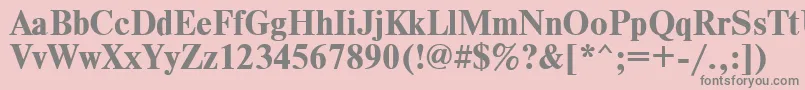 フォントTimesdlBold – ピンクの背景に灰色の文字