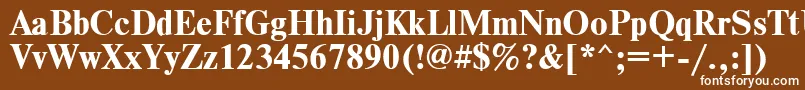 TimesdlBold Font – White Fonts on Brown Background