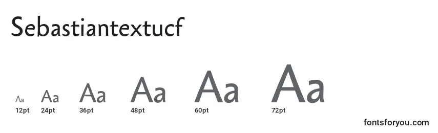 Размеры шрифта Sebastiantextucf