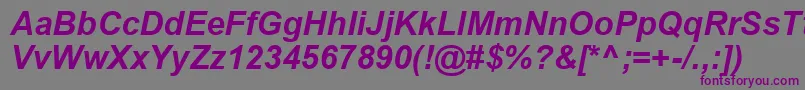 ArialKoi8BoldItalic Font – Purple Fonts on Gray Background