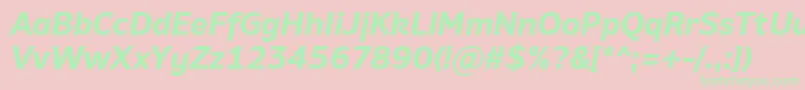 AminoBoldItalic Font – Green Fonts on Pink Background