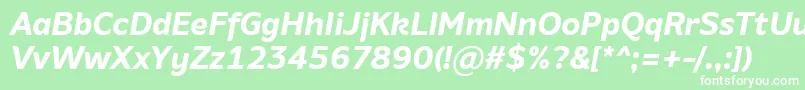 AminoBoldItalic Font – White Fonts on Green Background
