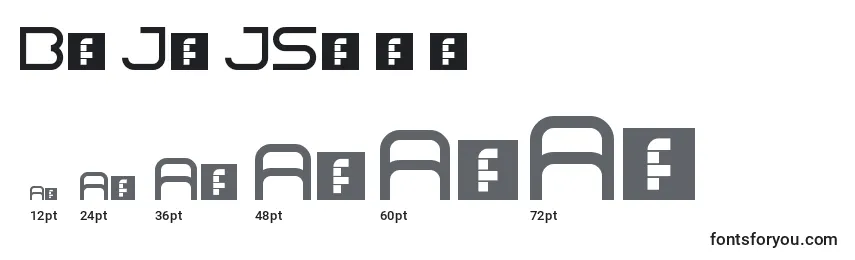 BajajSans Font Sizes