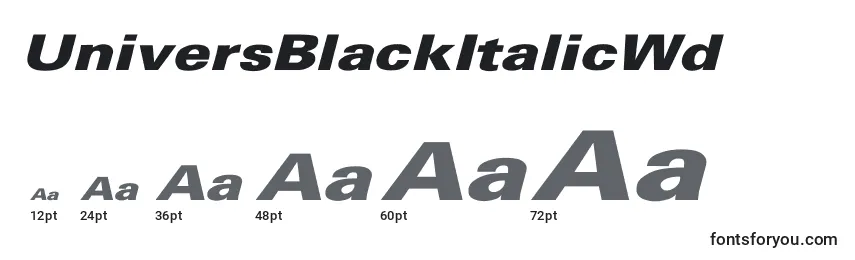 UniversBlackItalicWd Font Sizes