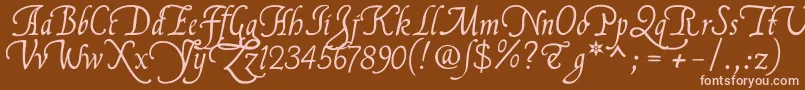 Flllna2u Font – Pink Fonts on Brown Background