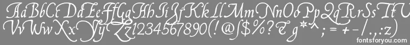 Flllna2u Font – White Fonts on Gray Background