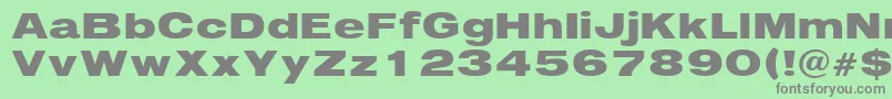 Immediate Font – Gray Fonts on Green Background
