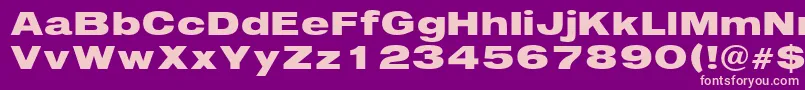 Czcionka Immediate – różowe czcionki na fioletowym tle