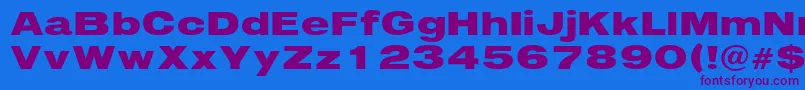 Immediate Font – Purple Fonts on Blue Background
