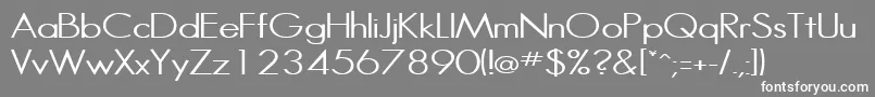HalibutcondensedRegular Font – White Fonts on Gray Background