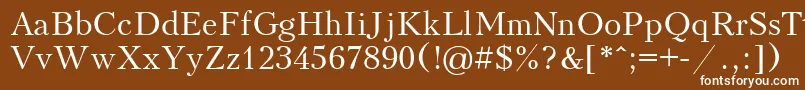 Шрифт Kudriashov – белые шрифты на коричневом фоне