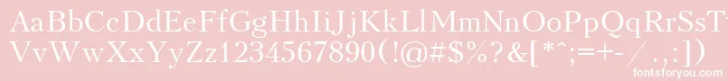 Kudriashov Font – White Fonts on Pink Background