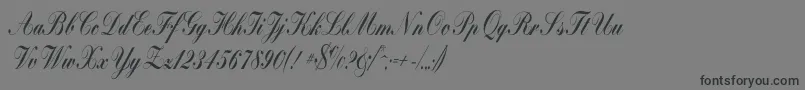 Bolina Font – Black Fonts on Gray Background