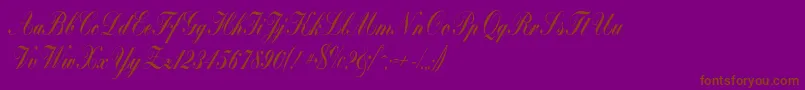 Bolina-fontti – ruskeat fontit violetilla taustalla