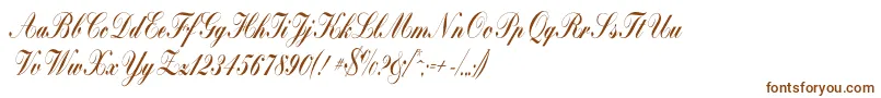 Шрифт Bolina – коричневые шрифты на белом фоне
