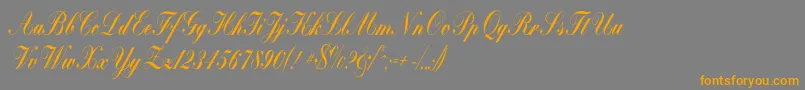 Bolina Font – Orange Fonts on Gray Background