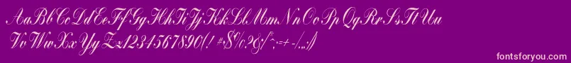 Bolina Font – Pink Fonts on Purple Background