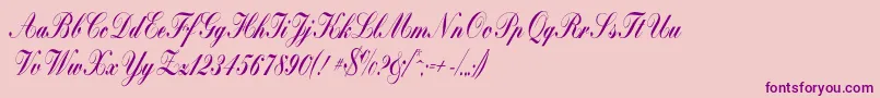 Bolina Font – Purple Fonts on Pink Background