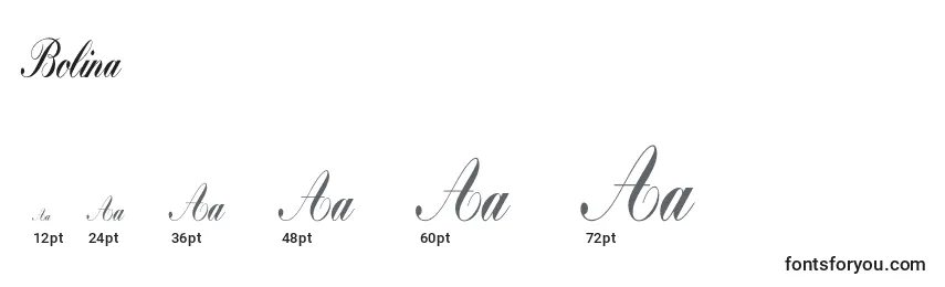 Размеры шрифта Bolina