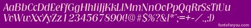 NashvilleRegularita Font – Pink Fonts on Purple Background