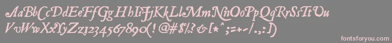 Jancieni Font – Pink Fonts on Gray Background