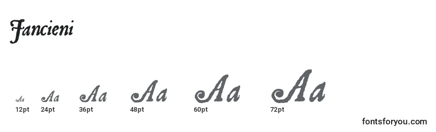 Размеры шрифта Jancieni