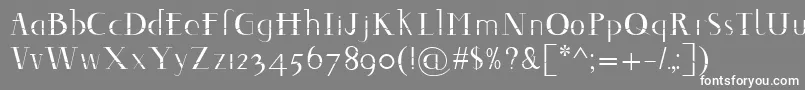 Decomontype Font – White Fonts on Gray Background