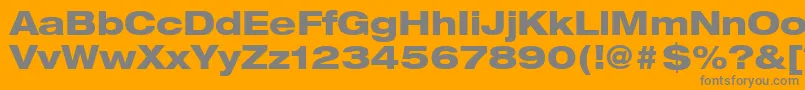 HelveticaLt83HeavyExtended Font – Gray Fonts on Orange Background