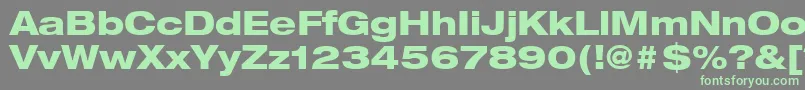 HelveticaLt83HeavyExtended Font – Green Fonts on Gray Background