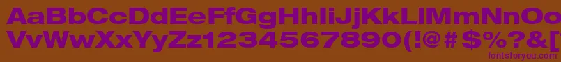 HelveticaLt83HeavyExtended Font – Purple Fonts on Brown Background