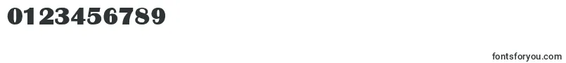 BurinDisplaySsi Font – Fonts for Numbers and Digits