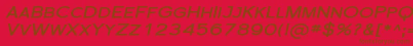 SfflorencesansscexpBoldita-Schriftart – Braune Schriften auf rotem Hintergrund
