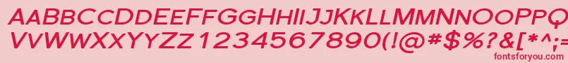 Police SfflorencesansscexpBoldita – polices rouges sur fond rose