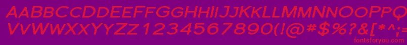 SfflorencesansscexpBoldita Font – Red Fonts on Purple Background