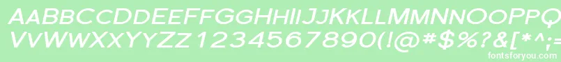 SfflorencesansscexpBoldita Font – White Fonts on Green Background