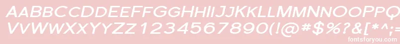 SfflorencesansscexpBoldita-fontti – valkoiset fontit vaaleanpunaisella taustalla