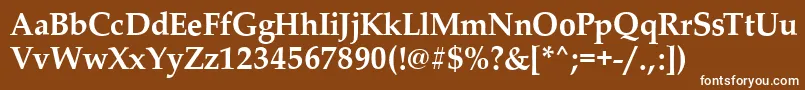PalladioBold Font – White Fonts on Brown Background