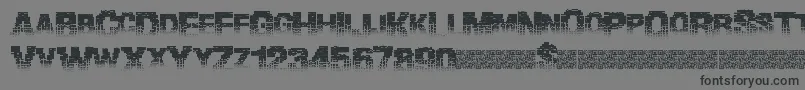 Binarywaters-Schriftart – Schwarze Schriften auf grauem Hintergrund