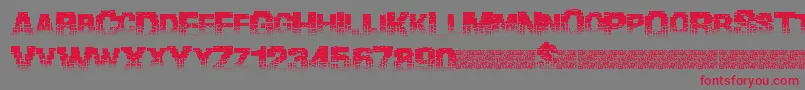 Binarywaters Font – Red Fonts on Gray Background