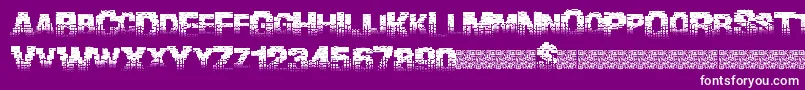 Binarywaters-Schriftart – Weiße Schriften auf violettem Hintergrund