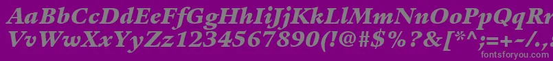 GuardiLt96BlackItalic Font – Gray Fonts on Purple Background